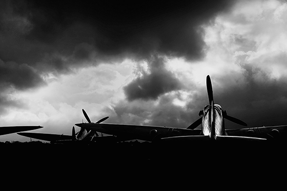 Goodwood image:  Spitfires