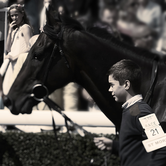 Goodwood image: people